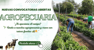 AGROPECUARIA