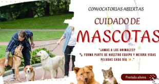 MASCOTA